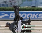 Giordano Carlton Wonder CsioArJYR SS7 8101 : CSIO Giovani Arezzo, Carlton Wonder, Giordano Martina, foto Stefano Secchi ©